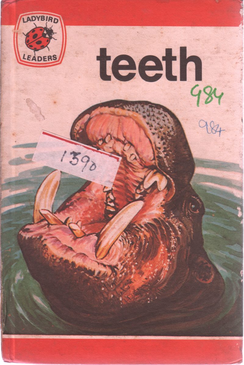 TEETH