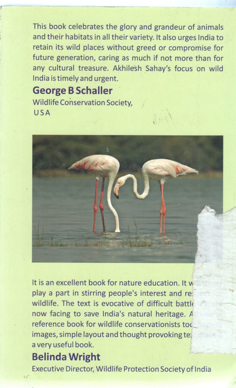 GLIMPSES FROM INDIA NATURAL WORLD BY A K SAHAY - Image 2