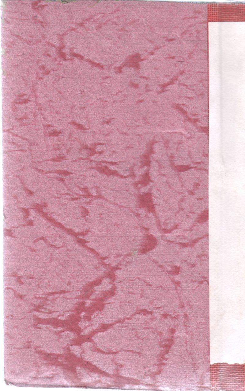 THE CLUSE OF THE HISSING SERPENT BY FRANKLIN W.DIXON - Image 2