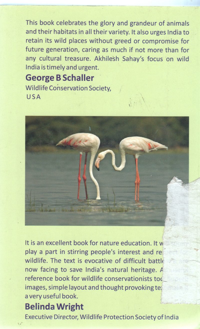 GLIMPSES FROM INDIA NATURAL WORLD BY A K SAHAY - Image 2