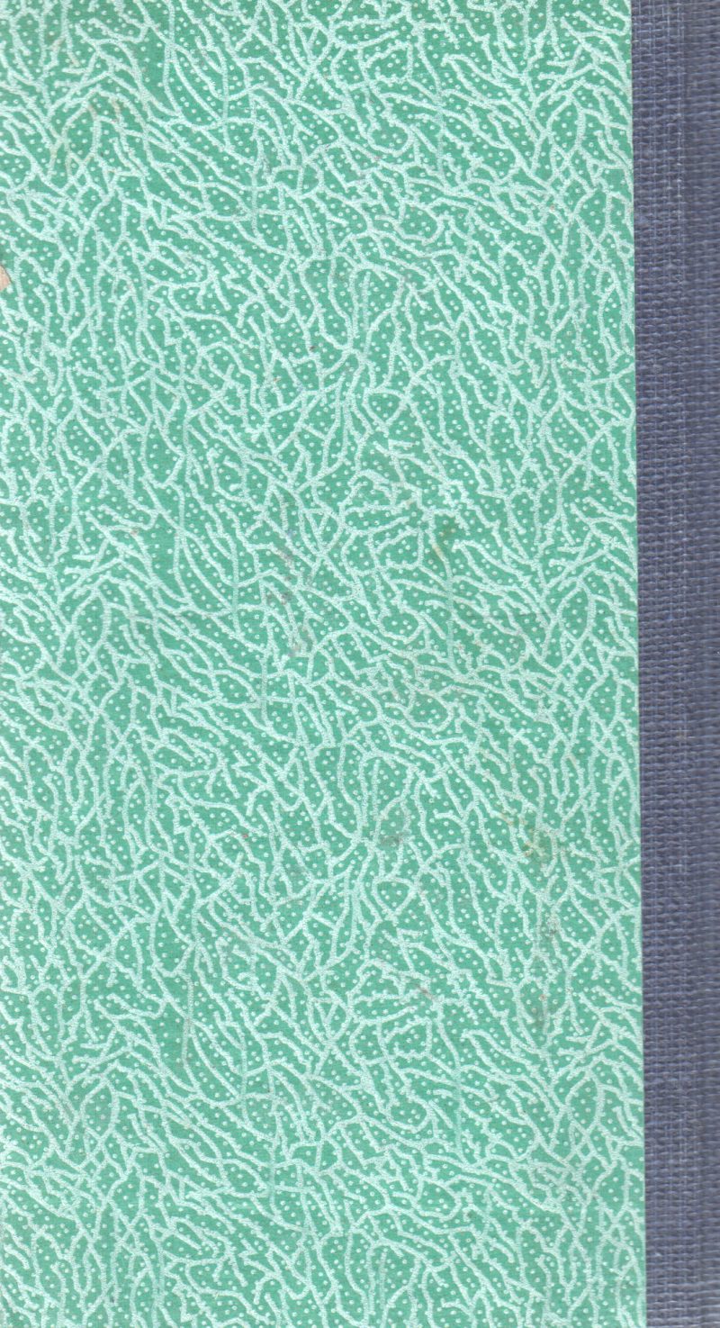 HERMAN MELVILLE BY MOBY DICK - Image 2