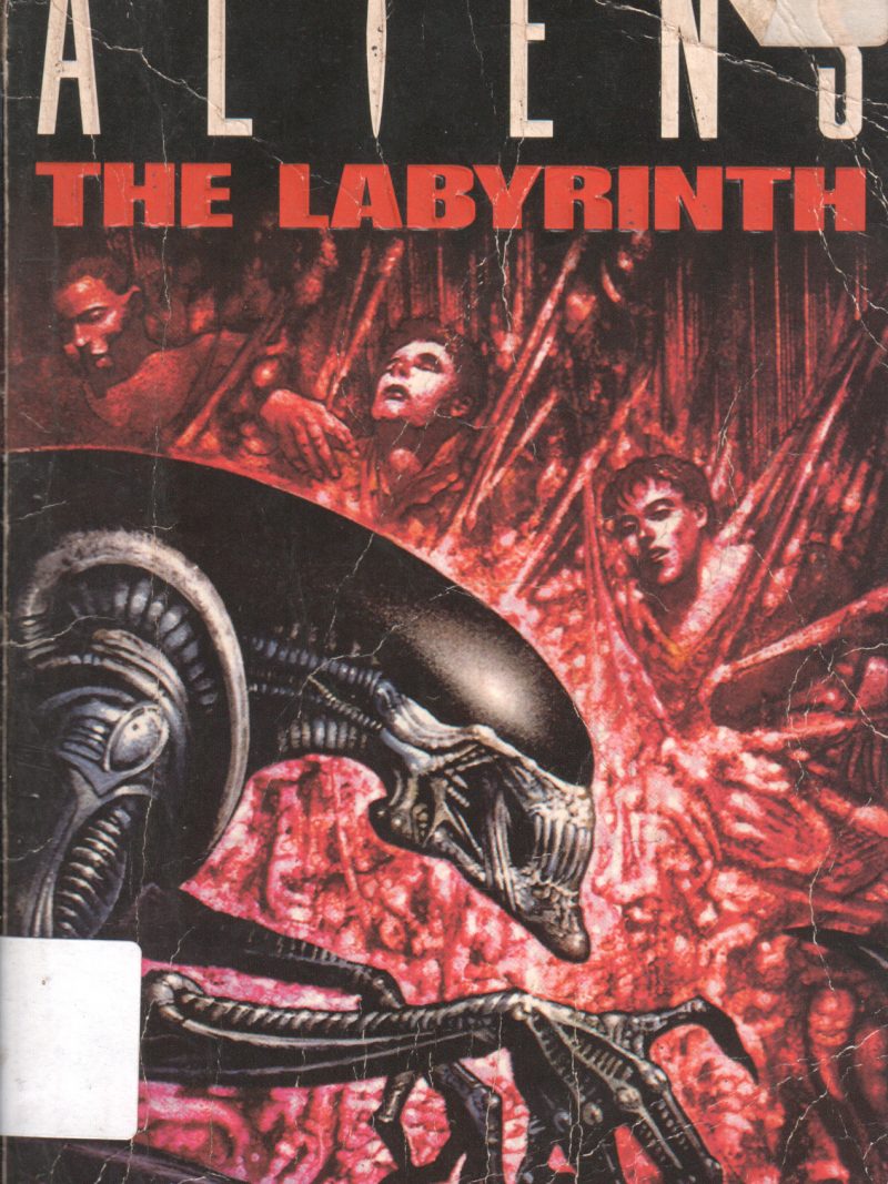 ALIENS THE LABYRINTH BY S.D PETER