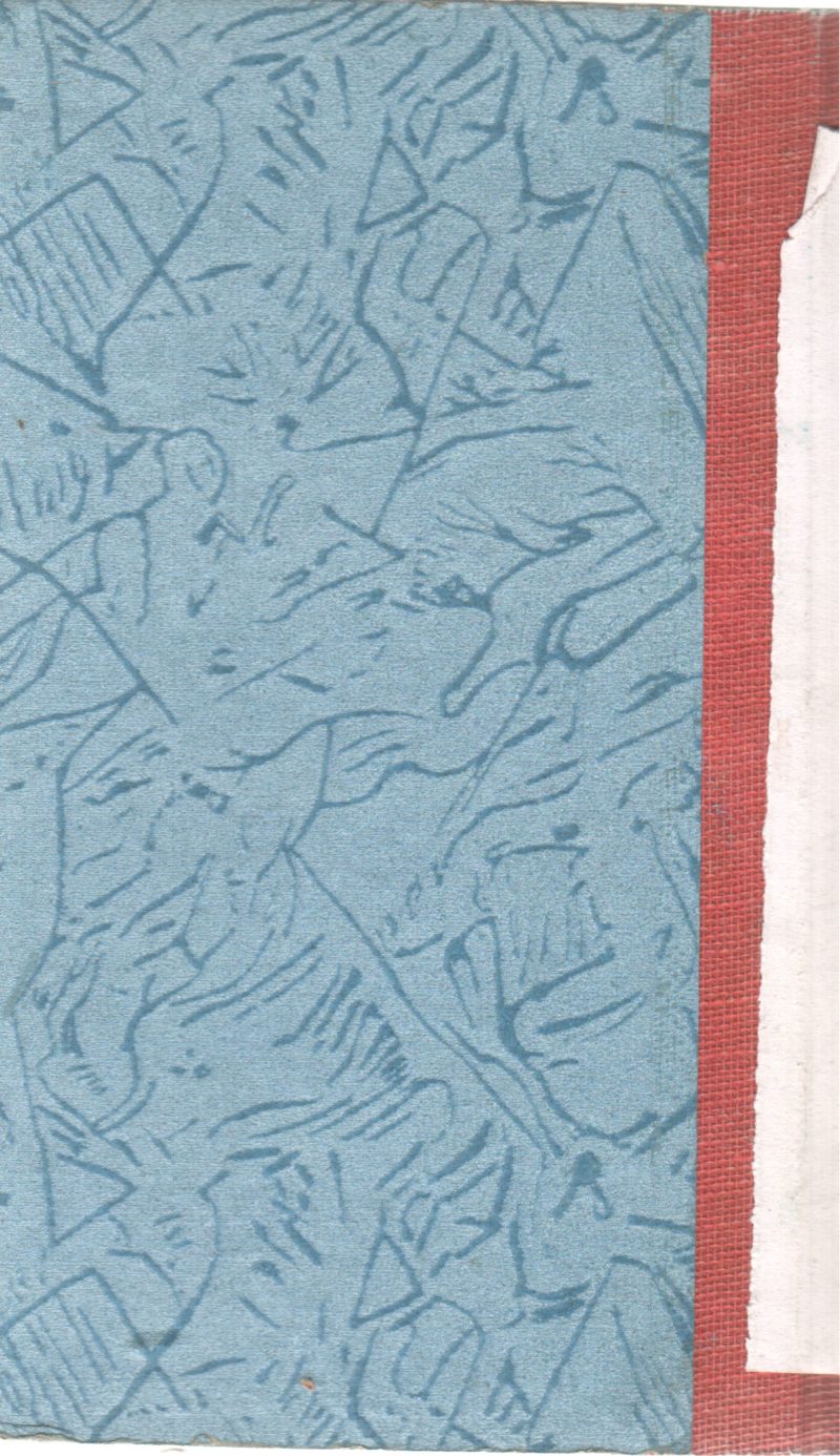 TH SECRET WARNING BY FRANKLIN W. DIXON - Image 2