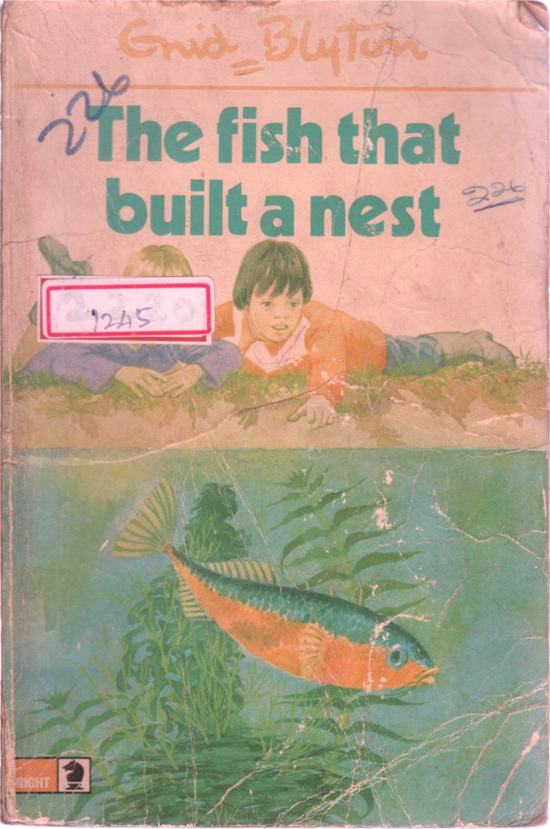 THE FISH THAT BUILT A NEST BY GRID BYTON