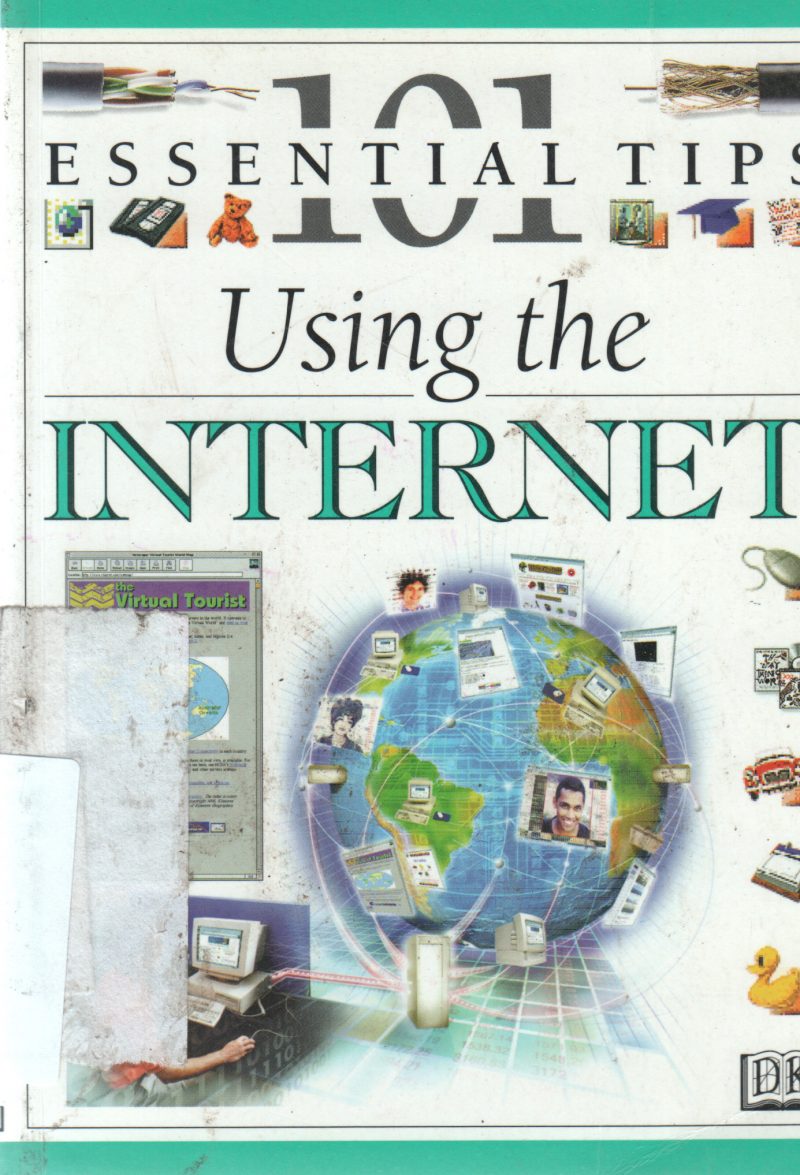 USING THE INTERNET