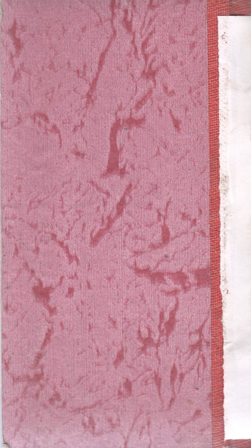 TAKEN AT THE FOOD - Image 2