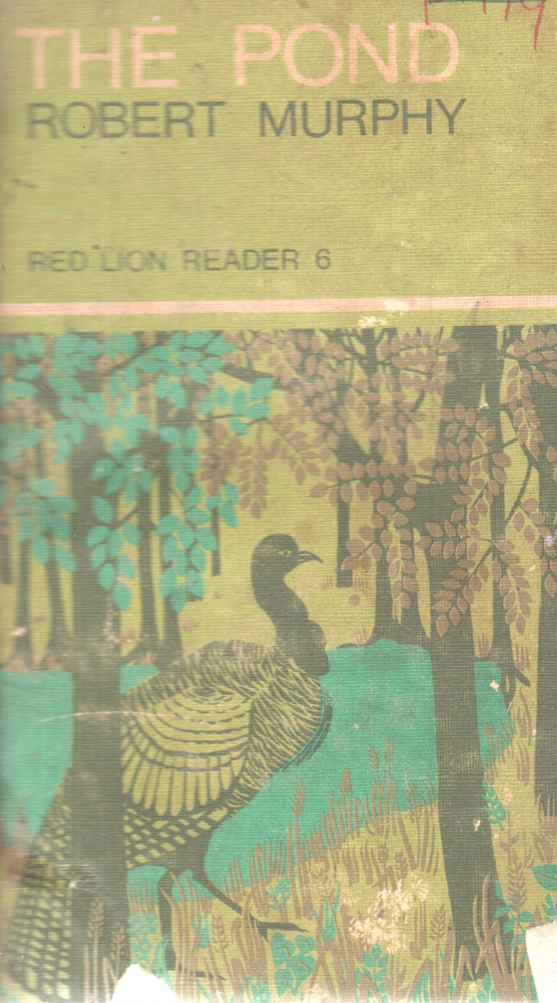 THE POND BY ROBERT MURPHY