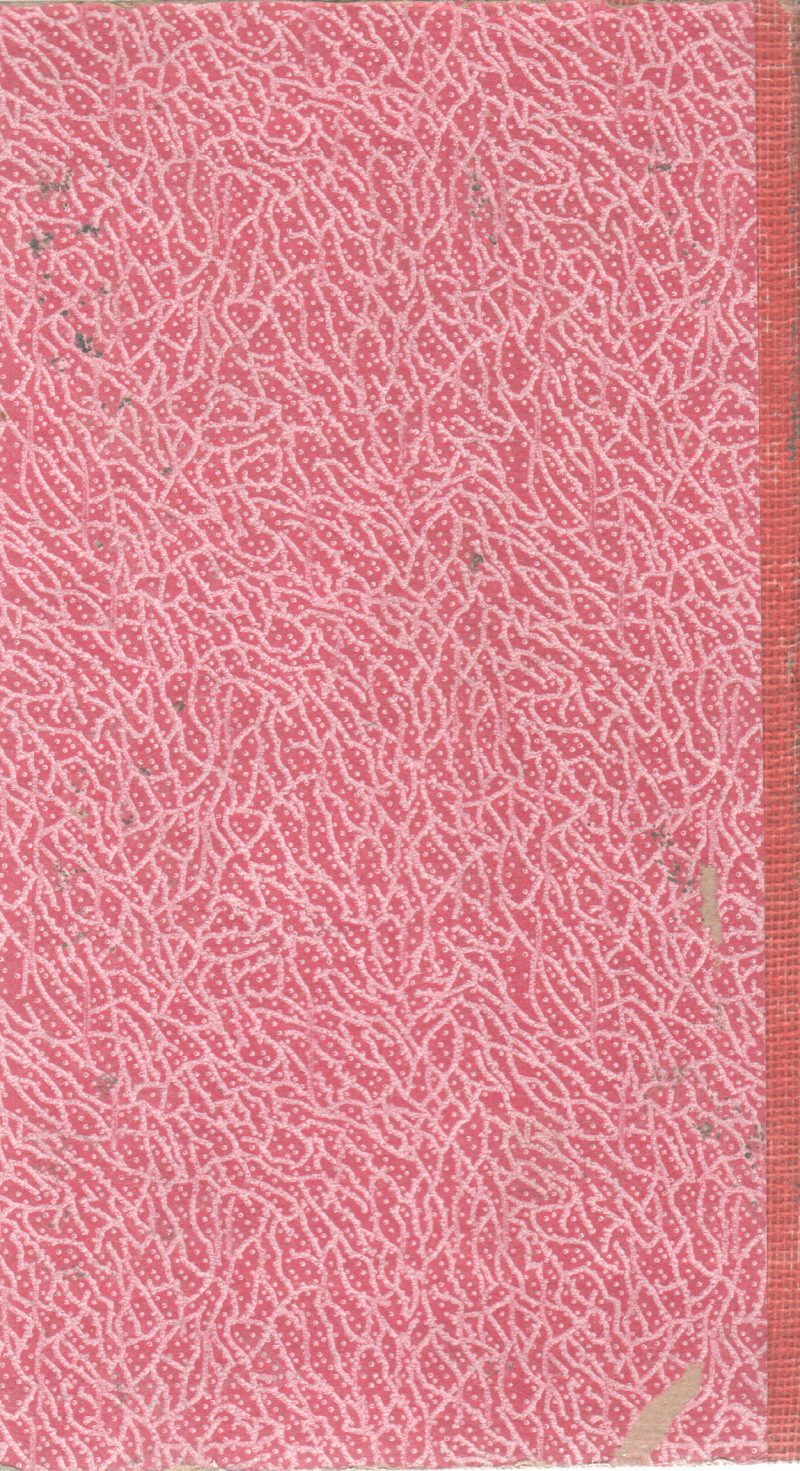 THE DISAPPEARING FLOOR BY FRANKLIN W. DIXON - Image 2