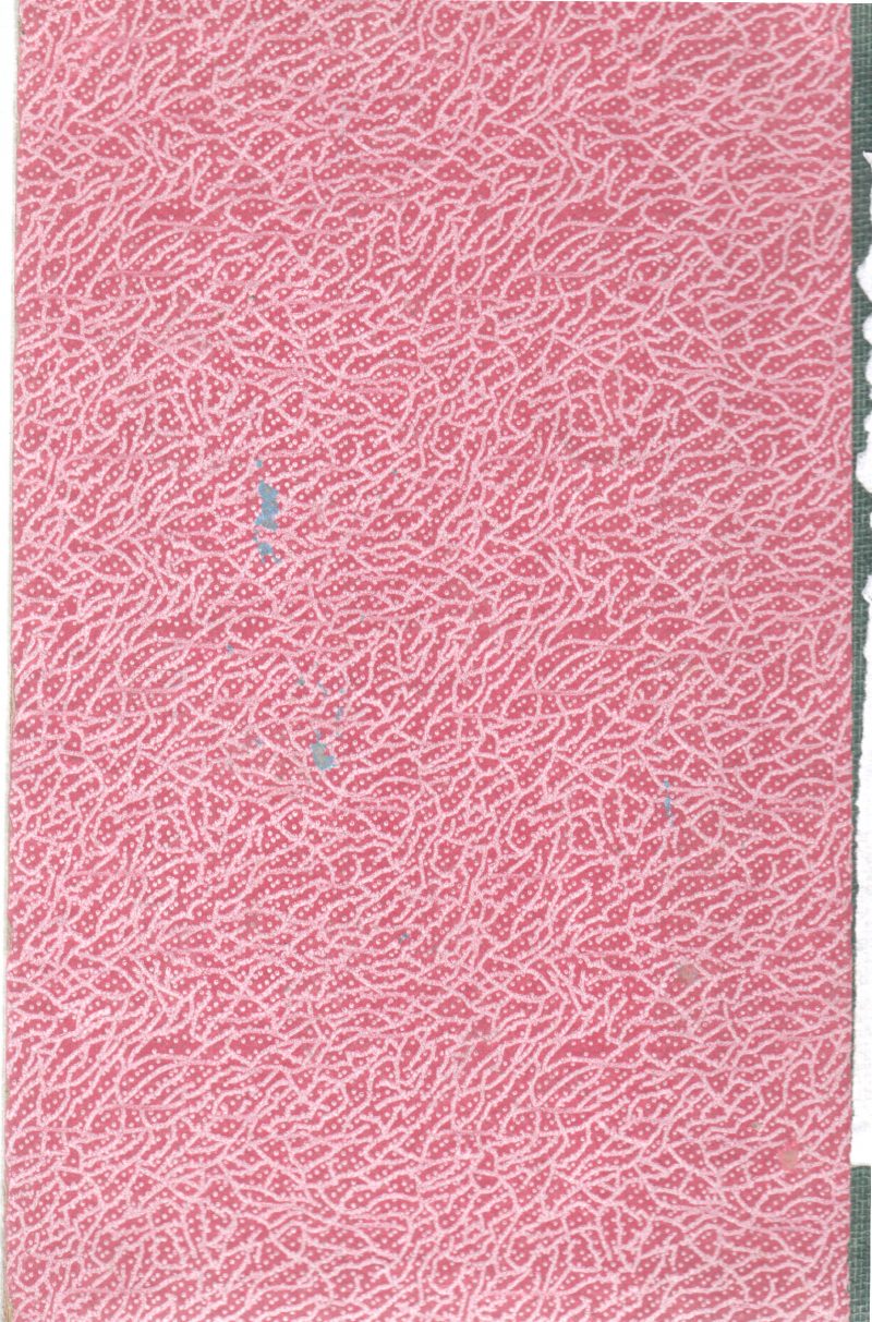 SHULAMITH BY MEERA MAHADEVAN - Image 2