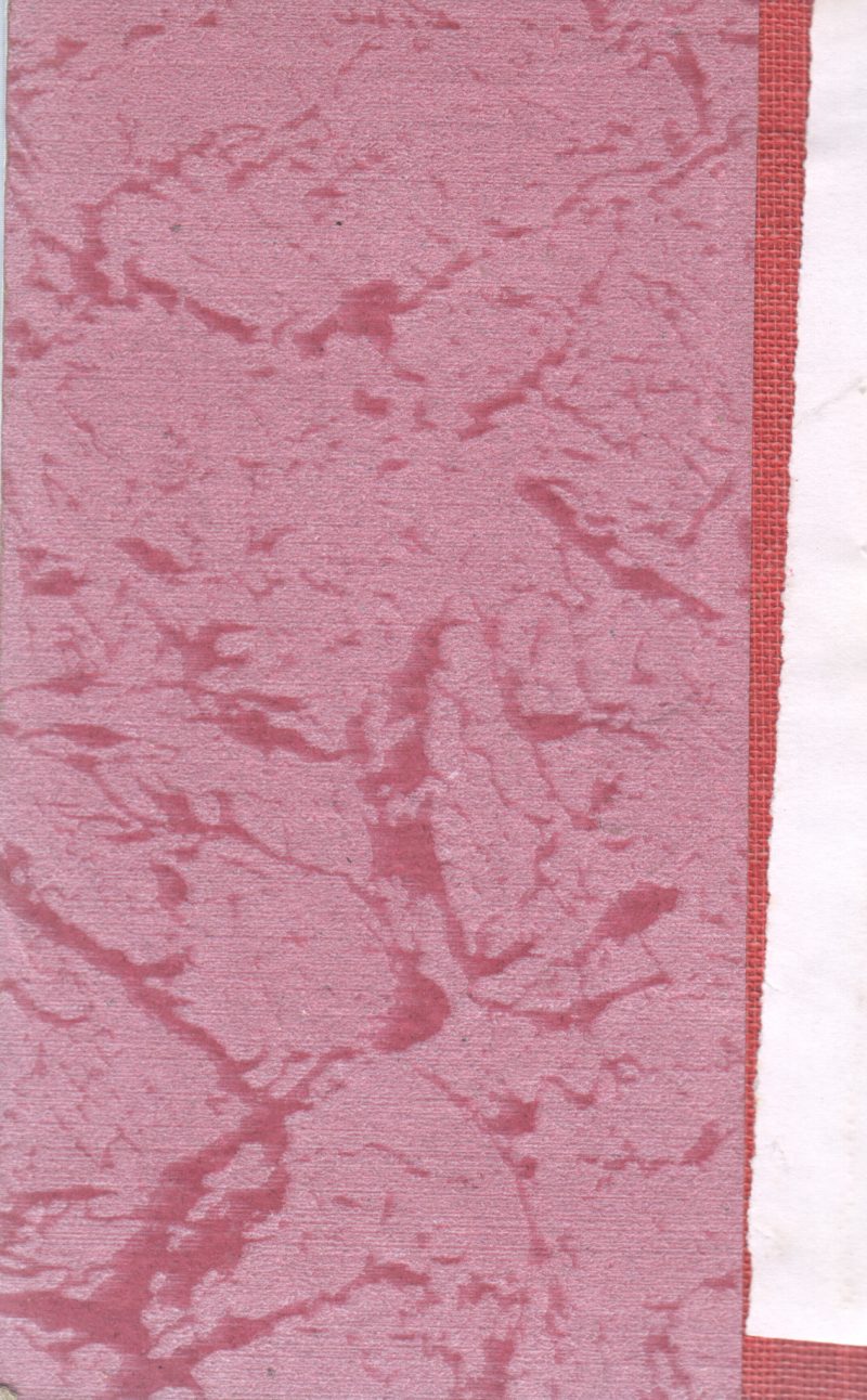 MR.PINK WHISTLE INTERFERES - Image 2