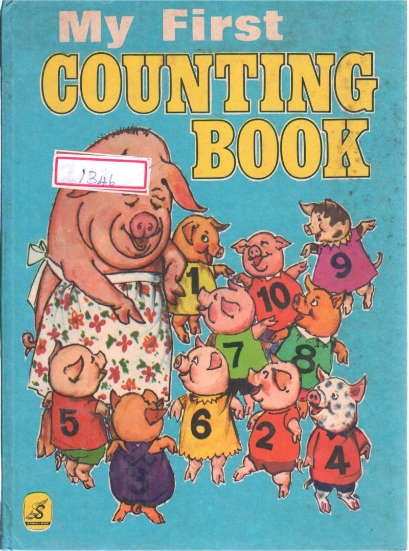 MY COUNTING BOOK
